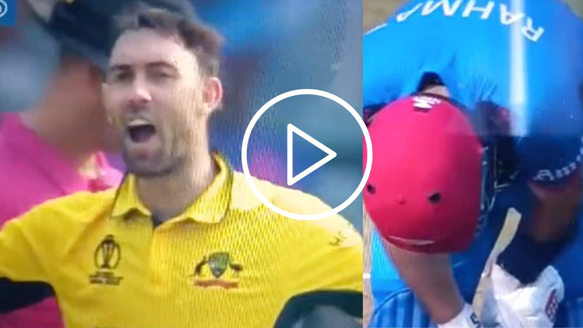 [Watch] Glenn Maxwell's Angry Sendoff After Getting 'Massive Wicket' Of Rahmat Shah